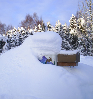 mailbox in February